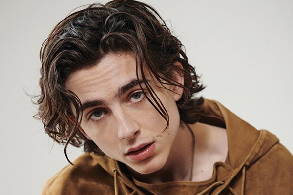 The Timothée Chalamet Hairstyle 