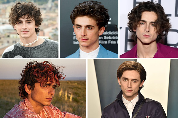 7. "Blonde Hair Teenage Male" by Timothée Chalamet - wide 2